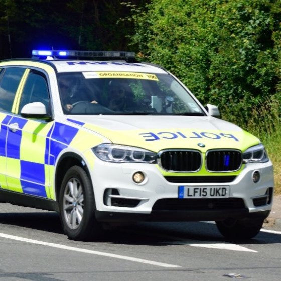 Livestock rustlers steal 19 cattle from farm near Shepton Mallet