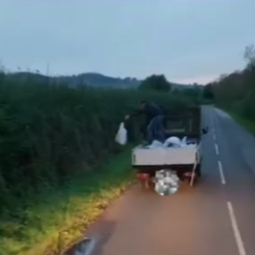 Brazen fly-tipper caught throwing bags off lorry into hedgerows